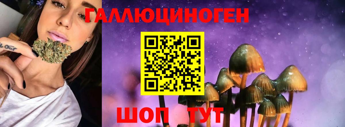 закладка  Галлюциногенные грибы мухоморы  Вход с VPN  Десногорск 